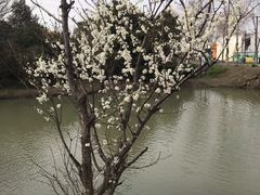 -嘉北郊野公园