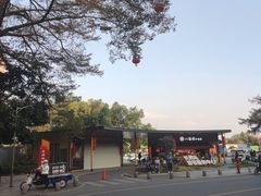 -长洲岛