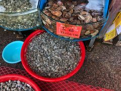 -北戴河庆山饭店·海鲜砂锅粥(北戴河黑石路店)