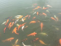 -永泰中国云顶