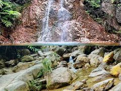 -南海湾森林生态园