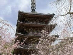-醍醐寺