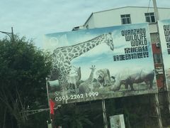 -泉州海丝野生动物世界