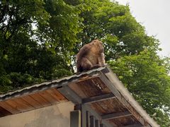-西岭雪山大飞水景区
