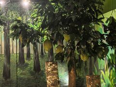 -槟城颠倒博物馆