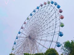 -温州乐园