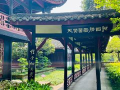 -桂湖森林公园