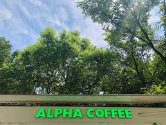 -ALPHA COFFEE阿尔法咖啡(虹泉路店)