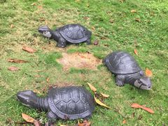 -揭东万竹园旅游景区