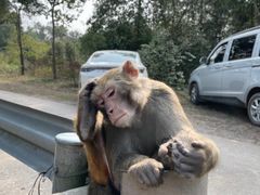 -重庆雨台山风景区