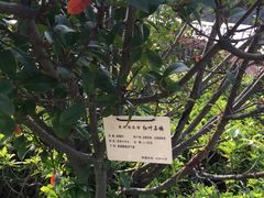 -泉州迎宾馆
