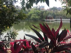 -暨南大学（石牌校区）明湖楼