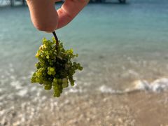 -三亚西岛海洋文化旅游区