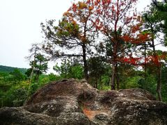 -南京市无想山景区