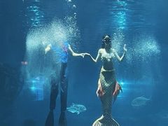 -福州罗源湾海洋世界旅游区