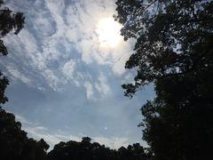 -中山大学（广州校区南校园）图书馆