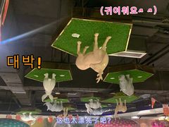 -H次元沉浸剧情密室(街道口店)
