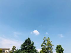 -青城山