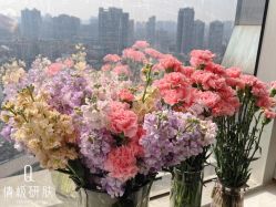 -倩极·精研痘敏肌管理