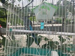 -广州市紫泥堂文化创意园景区