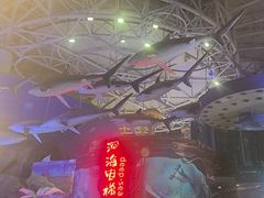 -烟台海昌鲸鲨海洋公园