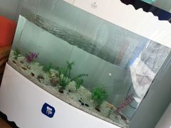 -新达口腔(华东理工大学店)