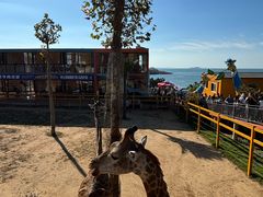 -西霞口神雕山野生动物世界