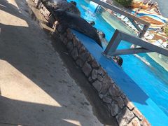 -泉城欧乐堡海洋极地世界