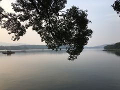 -西湖外事游船(花港观鱼码头)