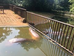 -海南热带野生动植物园