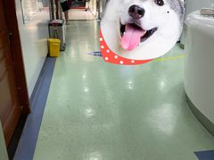 -杭州口腔医院(城西院区)