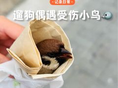 -美迦爱动物医院·夜诊(朝阳路诊疗中心)