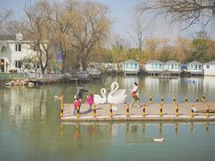 -J Create城市露营咖啡·简餐·宠物(上海动物园店)