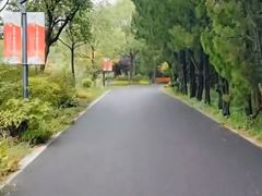 -东平国家森林公园
