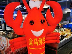 -盒马鲜生(文景博乐里购物广场店)