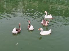 -北京鹿世界主题园