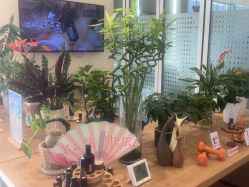 点击看大图 -dōTERRA多特瑞精油生活馆