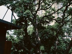 -万科生活广场(东莞松山湖店)