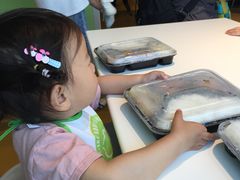 -幸福花欢乐世界(东辰广场A座店)