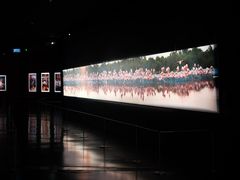 -罗红摄影艺术馆