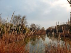 -梁鸿国家湿地公园
