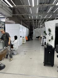 -BOF HAIR BY HONTO