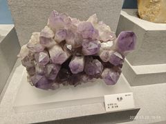 -贵州省地质博物馆