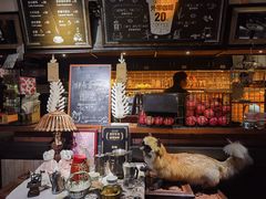 -杂咖zacup(领展中心城店)
