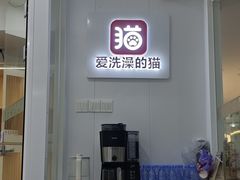 -爱洗澡的猫(天河路店)