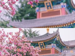 -西安市广仁寺