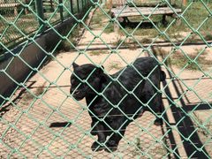 -鄂尔多斯野生动物园