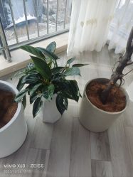 -HEYAN荷妍专业脱毛连锁机构