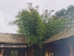 -咸宁万豪温泉谷度假区