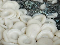 -共和老洪豆花草粿水粿